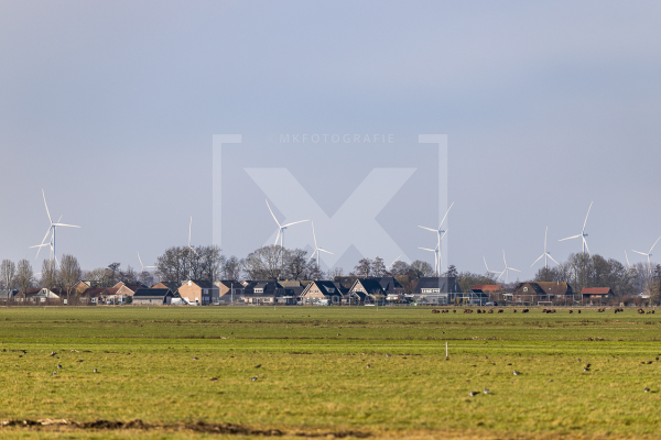 industriele windturbines vernietigen het klassieke platteland