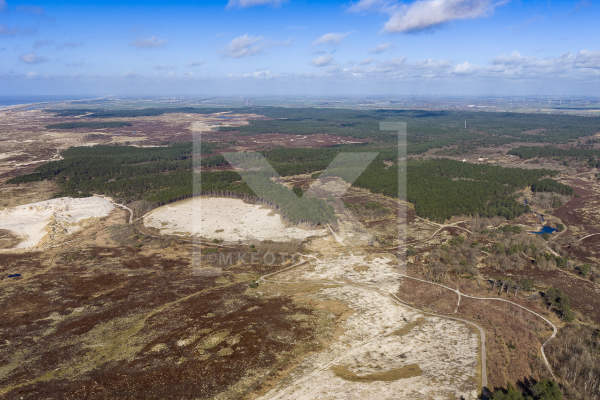 Illegale bomenkap door provincie onder het mom van natuurbeheer
