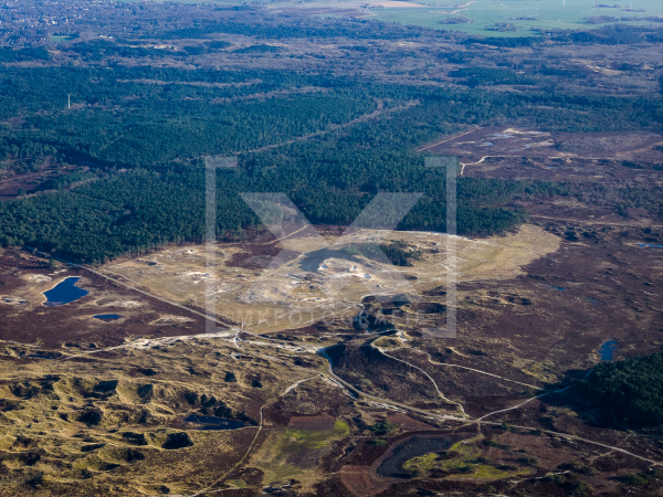 Bergense en Schoorlse Duinen - illegale bomenkap door de provincie